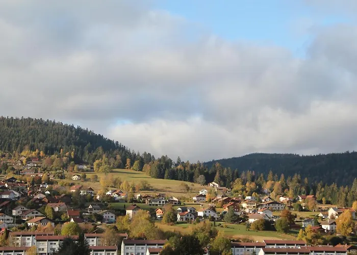 Du Toit Vosgien Chalet *